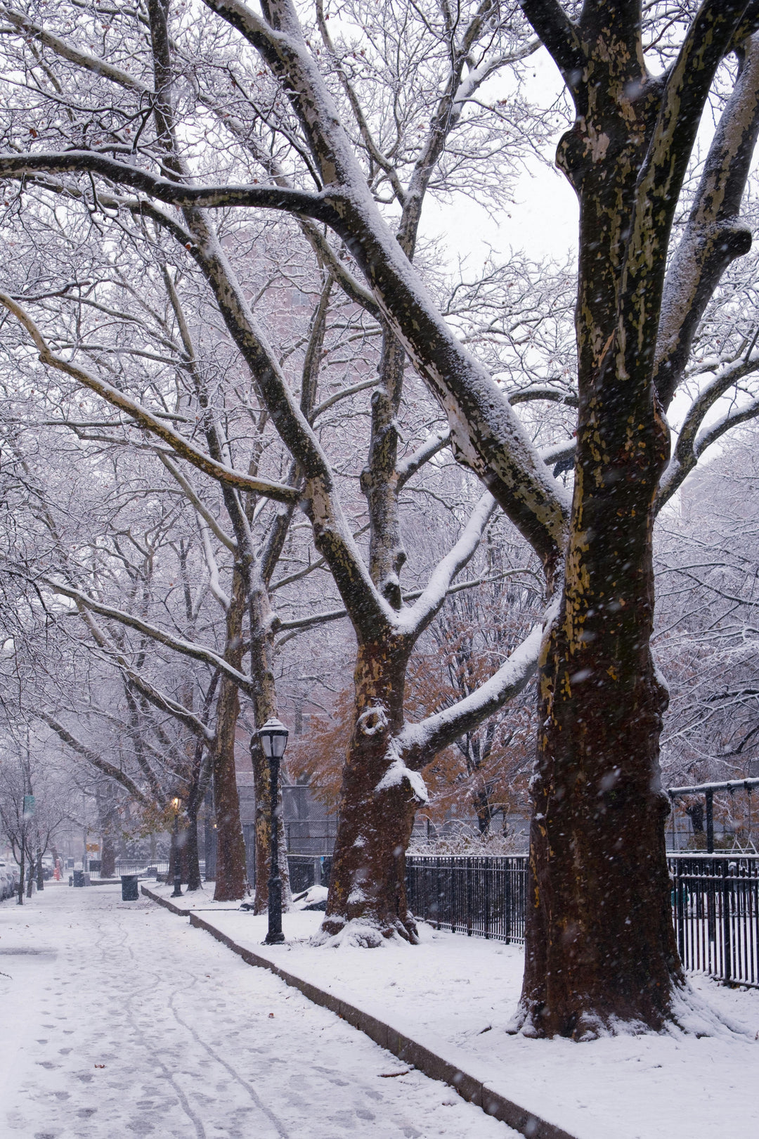 Winter Walks: How to Stay Cozy and Pain-Free